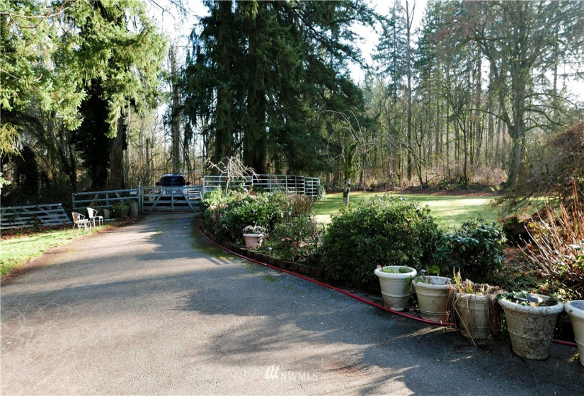 5421 Pearl, Auburn, Washington 98092, 4 Bedrooms Bedrooms, ,2 BathroomsBathrooms,Residential,For Sale,Pearl,NWM1877802