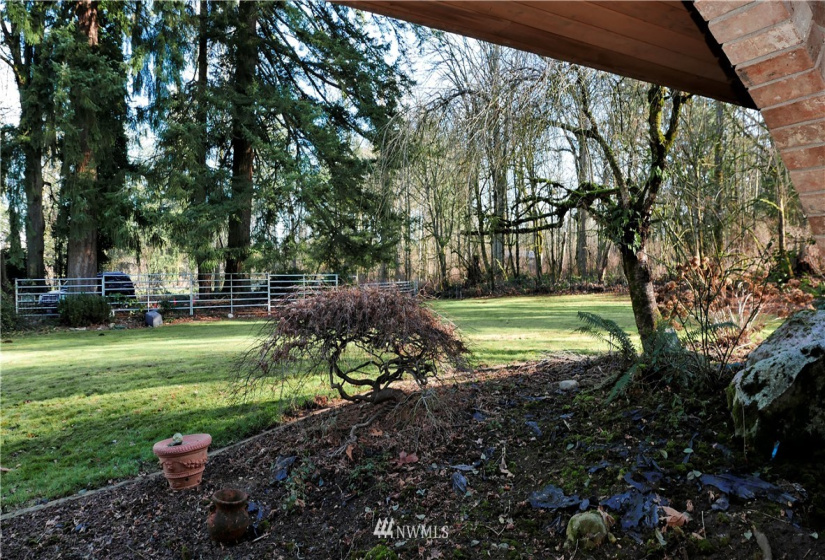 5421 Pearl, Auburn, Washington 98092, 4 Bedrooms Bedrooms, ,2 BathroomsBathrooms,Residential,For Sale,Pearl,NWM1877802