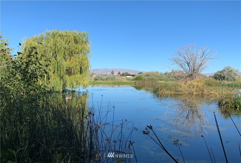 400 Pomona Heights, Yakima, Washington 98901, ,Land,For Sale,Pomona Heights Estates,Pomona Heights,NWM1877972
