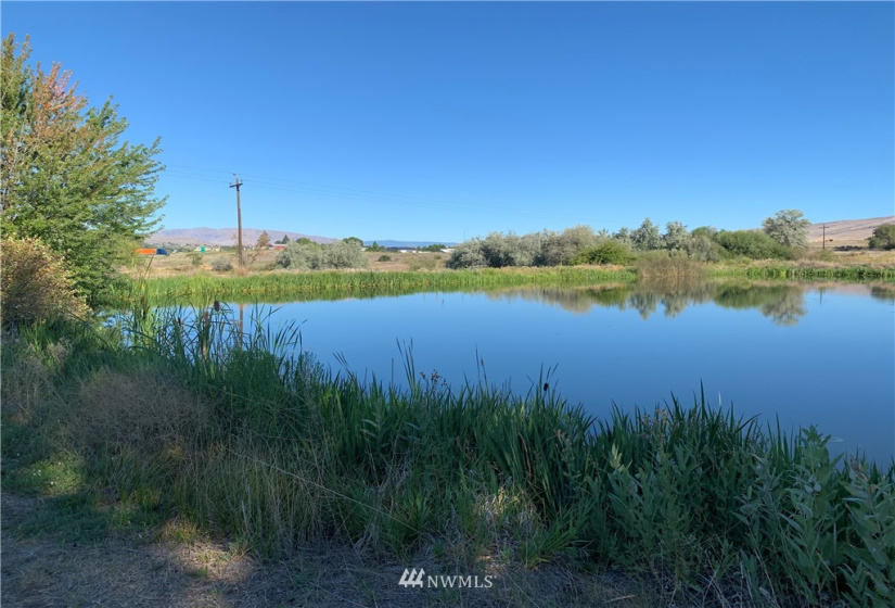 400 Pomona Heights, Yakima, Washington 98901, ,Land,For Sale,Pomona Heights Estates,Pomona Heights,NWM1877972