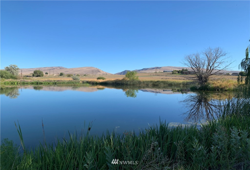 400 Pomona Heights, Yakima, Washington 98901, ,Land,For Sale,Pomona Heights Estates,Pomona Heights,NWM1877972