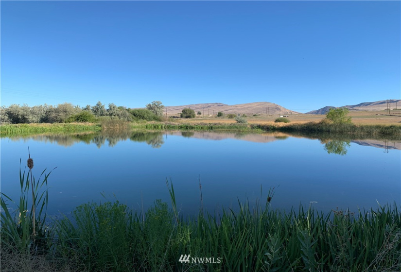 400 Pomona Heights, Yakima, Washington 98901, ,Land,For Sale,Pomona Heights Estates,Pomona Heights,NWM1877972