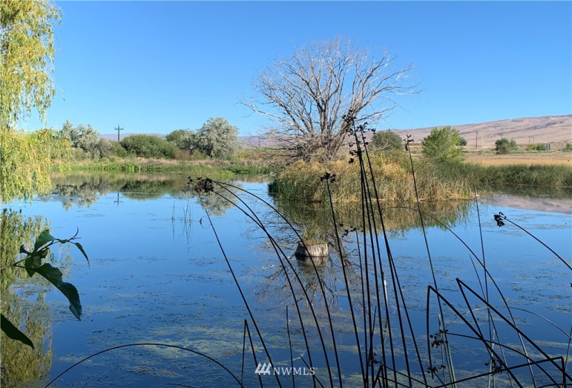 400 Pomona Heights, Yakima, Washington 98901, ,Land,For Sale,Pomona Heights Estates,Pomona Heights,NWM1877972