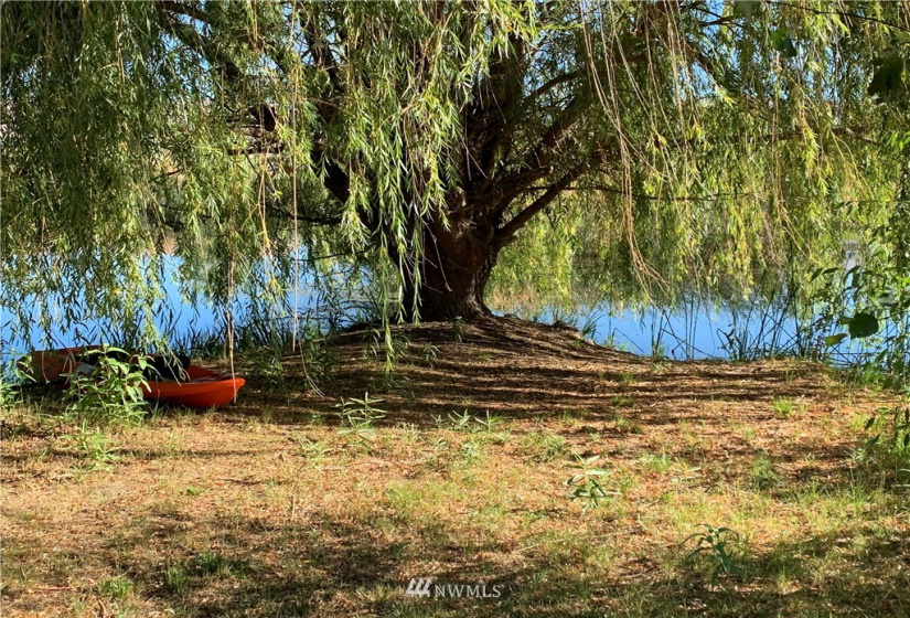 400 Pomona Heights, Yakima, Washington 98901, ,Land,For Sale,Pomona Heights Estates,Pomona Heights,NWM1877972
