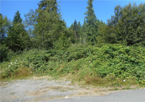 8 103rd, Lake Stevens, Washington 98258, ,Land,For Sale,Lake Stevens Summer Homes Tracts,103rd,NWM1877980