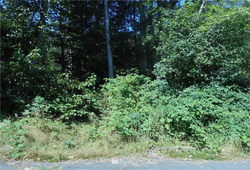24 103rd, Lake Stevens, Washington 98258, ,Land,For Sale,Lake Stevens Summer Homes Tracts,103rd,NWM1877982