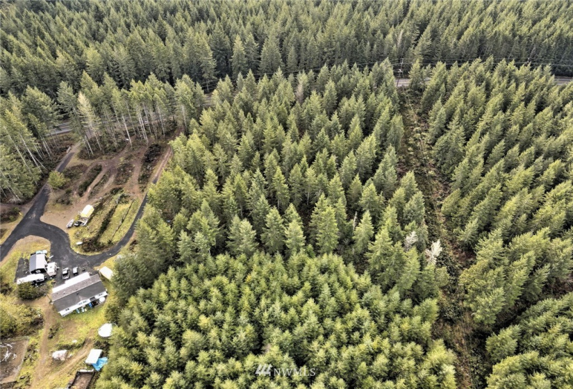 0 xxx State Route 3, Grapeview, Washington 98546, ,Land,For Sale,State Route 3,NWM1877207