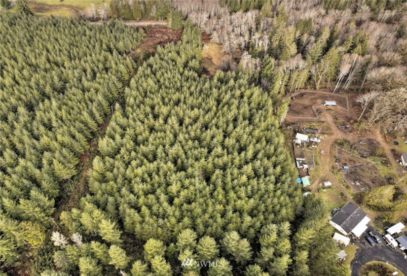 0 xxx State Route 3, Grapeview, Washington 98546, ,Land,For Sale,State Route 3,NWM1877207