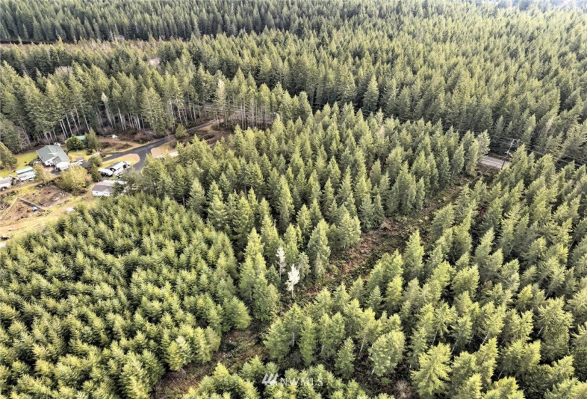 0 xxx State Route 3, Grapeview, Washington 98546, ,Land,For Sale,State Route 3,NWM1877207