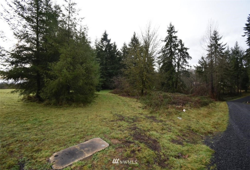 0 Rawlins Rd, Winlock, Washington 98591, ,Land,For Sale,Rawlins Rd,NWM1877654