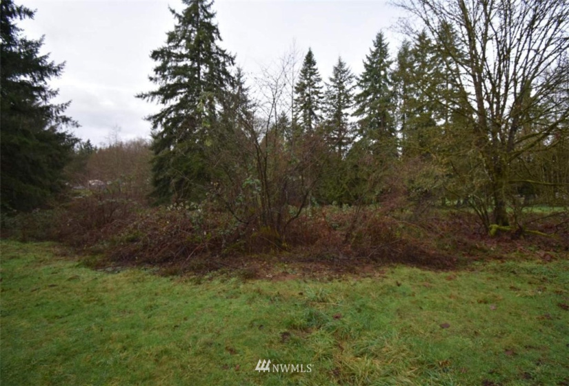0 Rawlins Rd, Winlock, Washington 98591, ,Land,For Sale,Rawlins Rd,NWM1877654