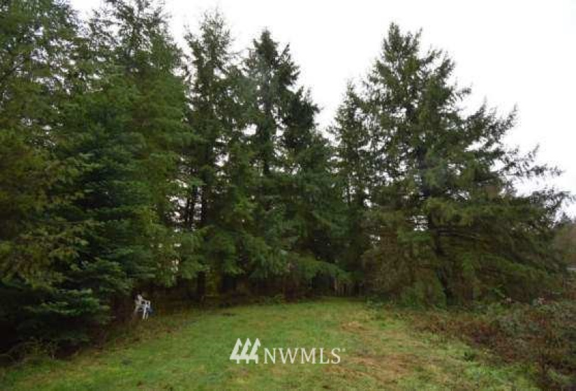 0 Rawlins Rd, Winlock, Washington 98591, ,Land,For Sale,Rawlins Rd,NWM1877654