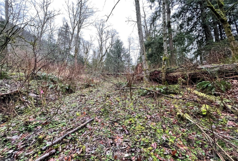 37 XXX Lake Walker, Enumclaw, Washington 98022, ,Land,For Sale,Lake Walker,NWM1866155
