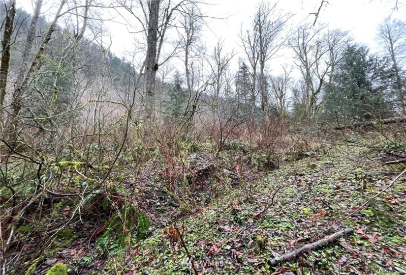 37 XXX Lake Walker, Enumclaw, Washington 98022, ,Land,For Sale,Lake Walker,NWM1866155