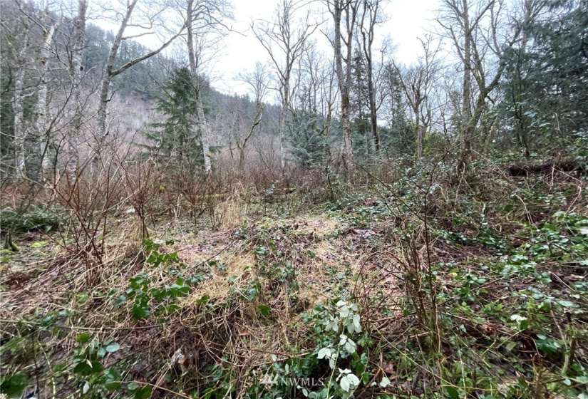 37 XXX Lake Walker, Enumclaw, Washington 98022, ,Land,For Sale,Lake Walker,NWM1866155