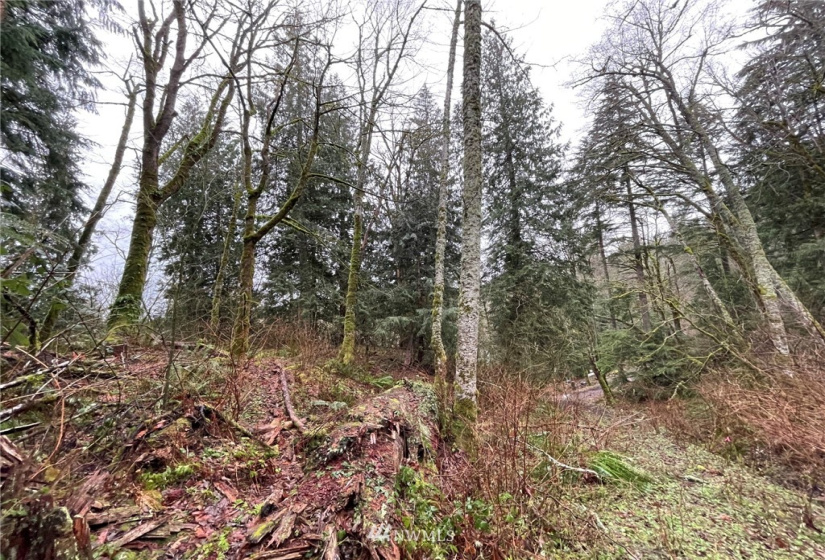 37 XXX Lake Walker, Enumclaw, Washington 98022, ,Land,For Sale,Lake Walker,NWM1866155