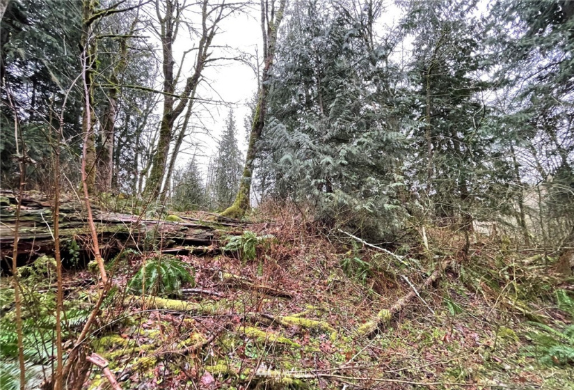 37 XXX Lake Walker, Enumclaw, Washington 98022, ,Land,For Sale,Lake Walker,NWM1866155