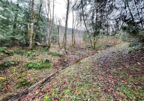 37 XXX Lake Walker, Enumclaw, Washington 98022, ,Land,For Sale,Lake Walker,NWM1866155