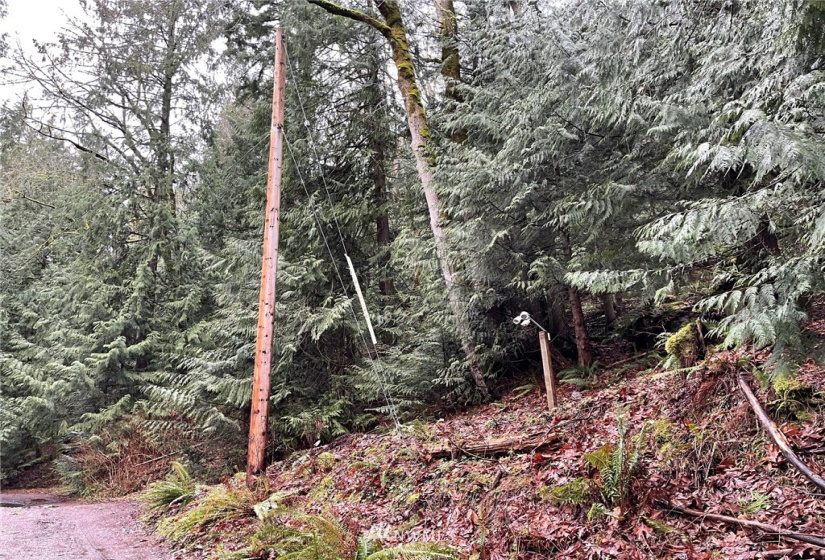 37 XXX Lake Walker, Enumclaw, Washington 98022, ,Land,For Sale,Lake Walker,NWM1866155