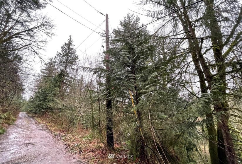 37 XXX Lake Walker, Enumclaw, Washington 98022, ,Land,For Sale,Lake Walker,NWM1866155