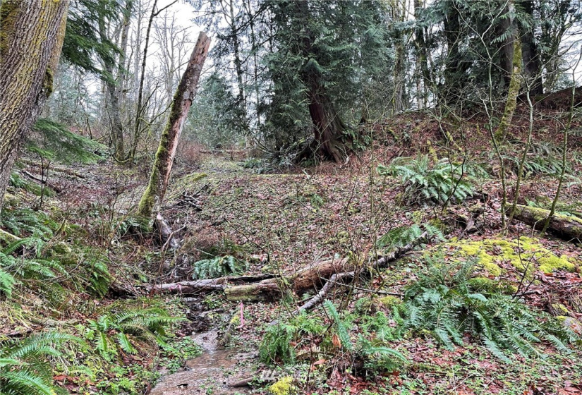 37 XXX Lake Walker, Enumclaw, Washington 98022, ,Land,For Sale,Lake Walker,NWM1866155