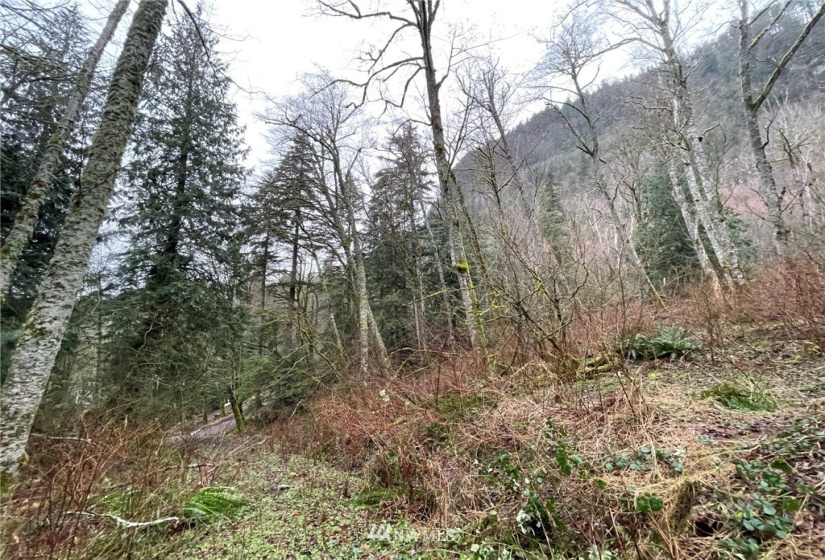 37 XXX Lake Walker, Enumclaw, Washington 98022, ,Land,For Sale,Lake Walker,NWM1866155