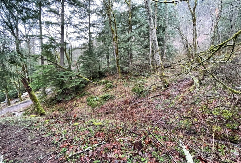 37 XXX Lake Walker, Enumclaw, Washington 98022, ,Land,For Sale,Lake Walker,NWM1866155