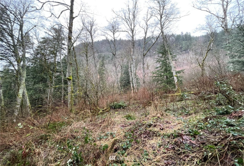 37 XXX Lake Walker, Enumclaw, Washington 98022, ,Land,For Sale,Lake Walker,NWM1866155