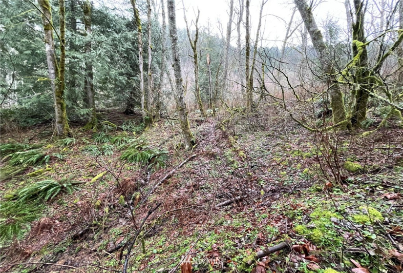 37 XXX Lake Walker, Enumclaw, Washington 98022, ,Land,For Sale,Lake Walker,NWM1866155