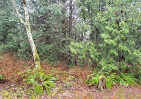 0 Fishermans Bend, Blaine, Washington 98230, ,Land,For Sale,Fishermans Bend,NWM1878208