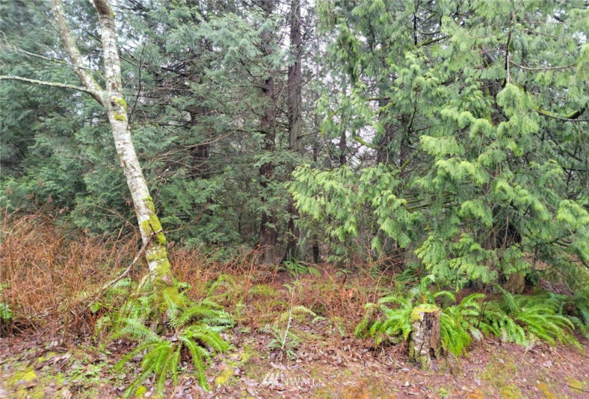 0 Fishermans Bend, Blaine, Washington 98230, ,Land,For Sale,Fishermans Bend,NWM1878208