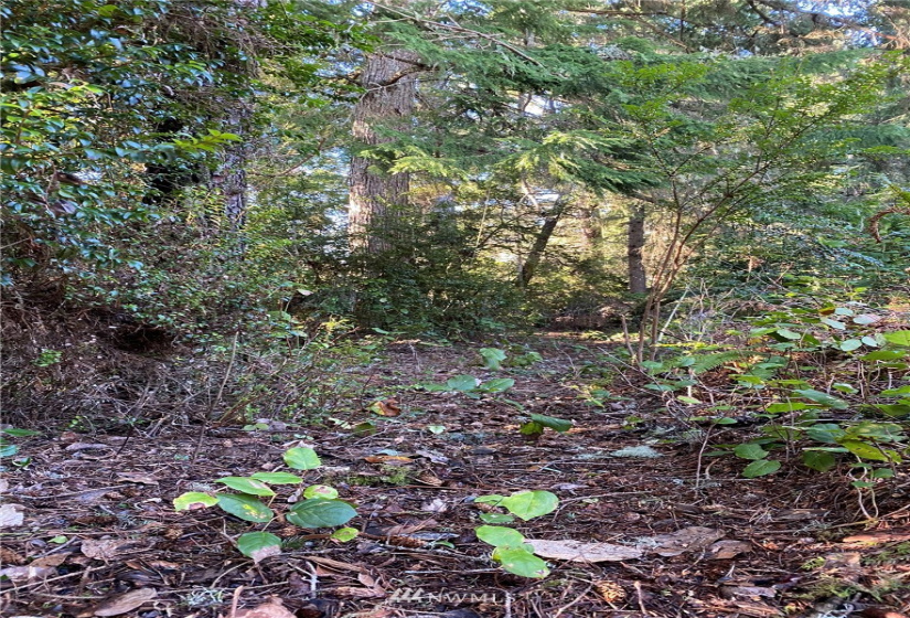 27509 U, Ocean Park, Washington 98640, ,Land,For Sale,RAILROAD ADD,U,NWM1877127