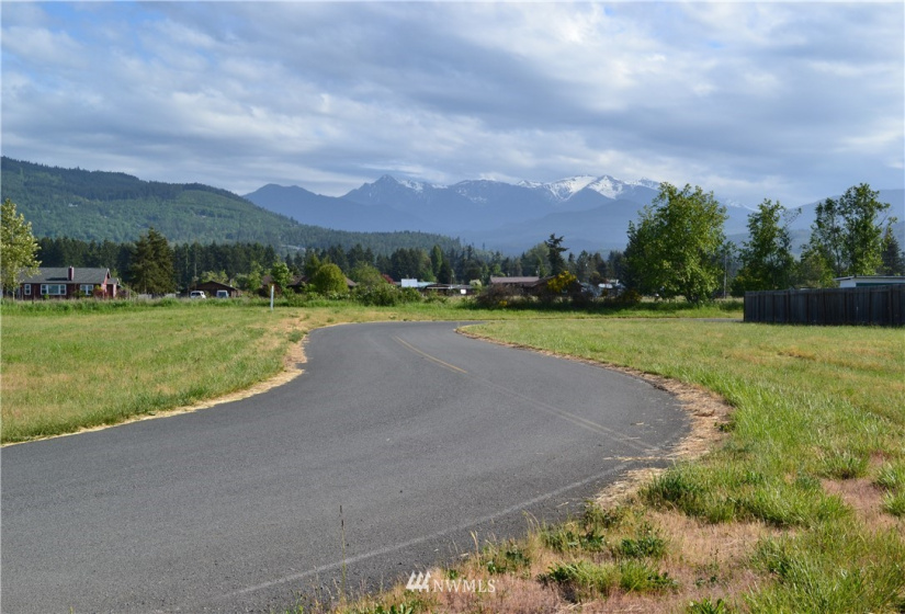 9999 Marlo Drive, Sequim, Washington 98382, ,Land,For Sale,Marlo Drive,NWM1878227