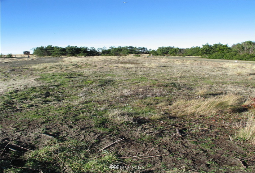 35100 G, Ocean Park, Washington 98640, ,Land,For Sale,Surfside Estates,G,NWM1877847