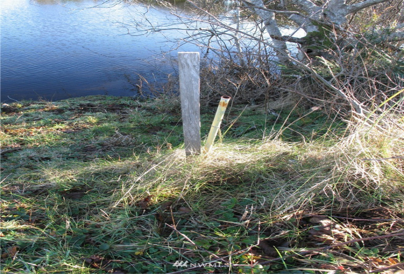 35100 G, Ocean Park, Washington 98640, ,Land,For Sale,Surfside Estates,G,NWM1877847