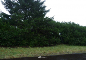 457 Ocean Spray, Ocean Shores, Washington 98569, ,Land,For Sale,16,Ocean Spray,NWM1878101