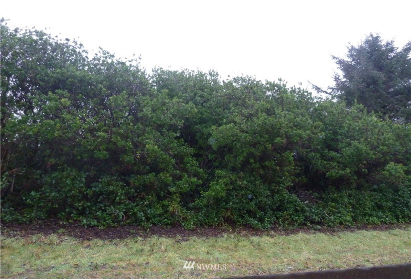 457 Ocean Spray, Ocean Shores, Washington 98569, ,Land,For Sale,16,Ocean Spray,NWM1878101