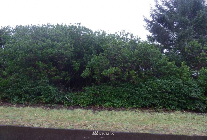 457 Ocean Spray, Ocean Shores, Washington 98569, ,Land,For Sale,16,Ocean Spray,NWM1878101