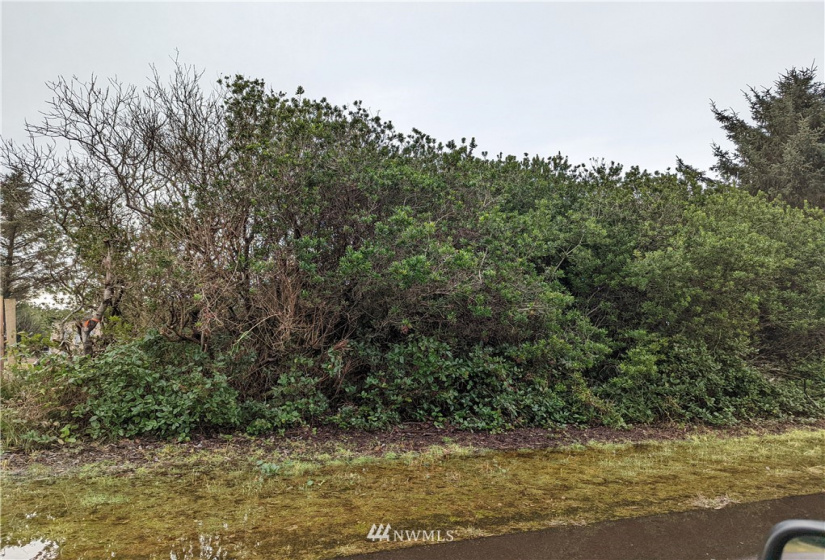 457 Ocean Spray, Ocean Shores, Washington 98569, ,Land,For Sale,16,Ocean Spray,NWM1878101