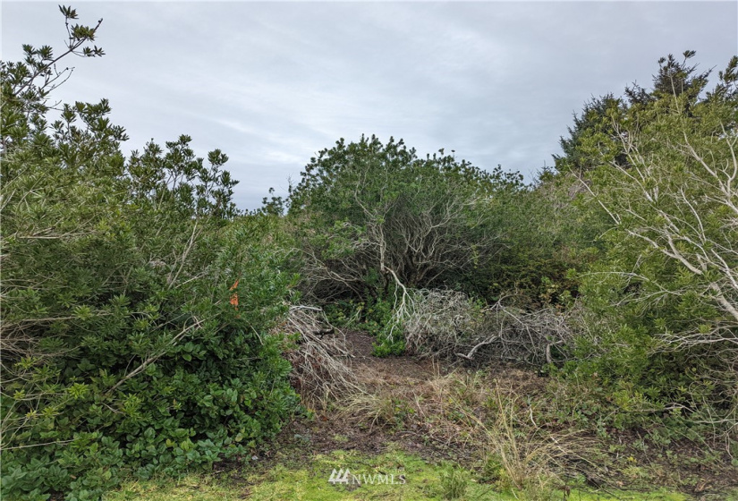 457 Ocean Spray, Ocean Shores, Washington 98569, ,Land,For Sale,16,Ocean Spray,NWM1878101