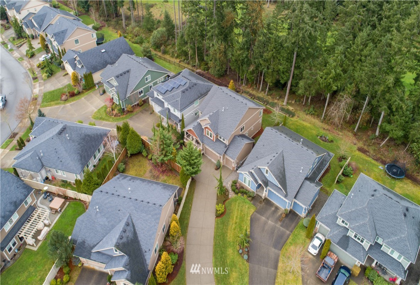 4031 Amelia, Lacey, Washington 98516, 6 Bedrooms Bedrooms, ,2 BathroomsBathrooms,Residential,For Sale,Campus Estates,Amelia,NWM1876995
