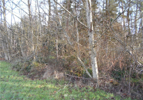 0 NHN State Route 525, Greenbank, Washington 98253, ,Land,For Sale,Aqua View,State Route 525,NWM1877609