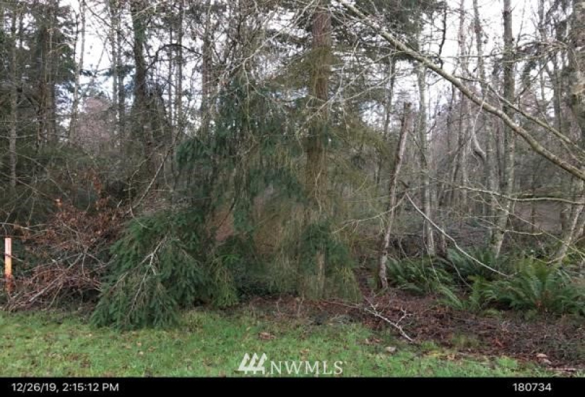 0 NHN State Route 525, Greenbank, Washington 98253, ,Land,For Sale,Aqua View,State Route 525,NWM1877609