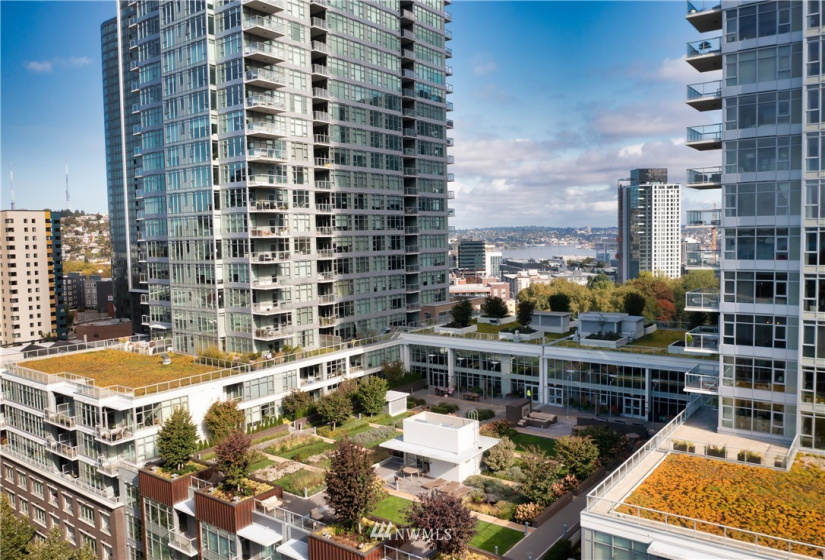 588 Bell Street, Seattle, Washington 98121, 2 Bedrooms Bedrooms, ,1 BathroomBathrooms,Residential,For Sale,Insignia,Bell Street,NWM1878129