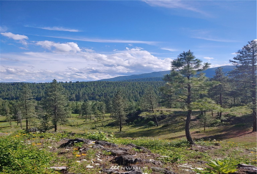 3 LOT Marble Valley Basin, Addy, Washington 99101, ,Land,For Sale,Marble Valley Basin,NWM1878575