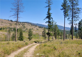 3 LOT Marble Valley Basin, Addy, Washington 99101, ,Land,For Sale,Marble Valley Basin,NWM1878575
