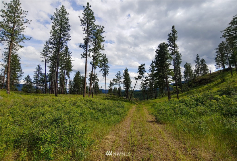 3 LOT Marble Valley Basin, Addy, Washington 99101, ,Land,For Sale,Marble Valley Basin,NWM1878575