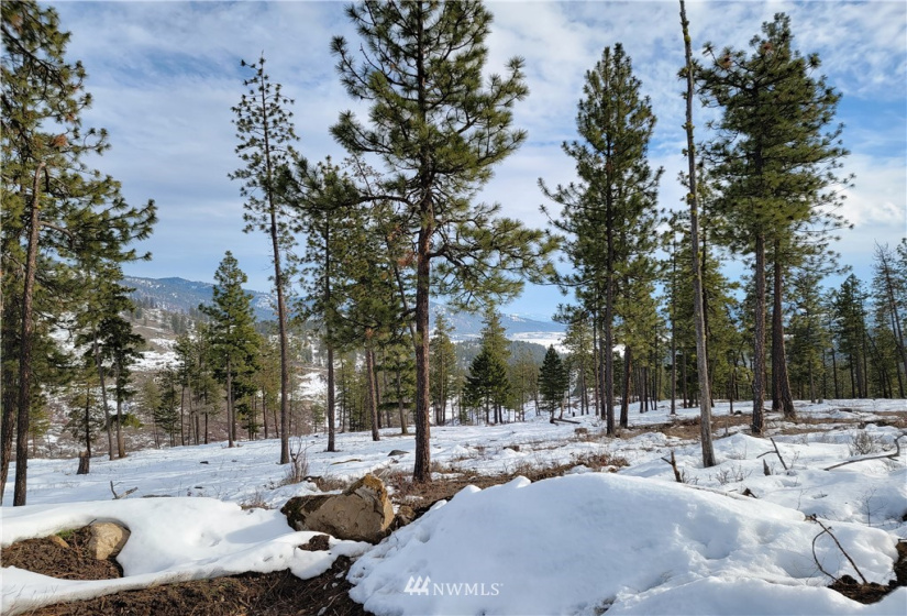 3 LOT Marble Valley Basin, Addy, Washington 99101, ,Land,For Sale,Marble Valley Basin,NWM1878575
