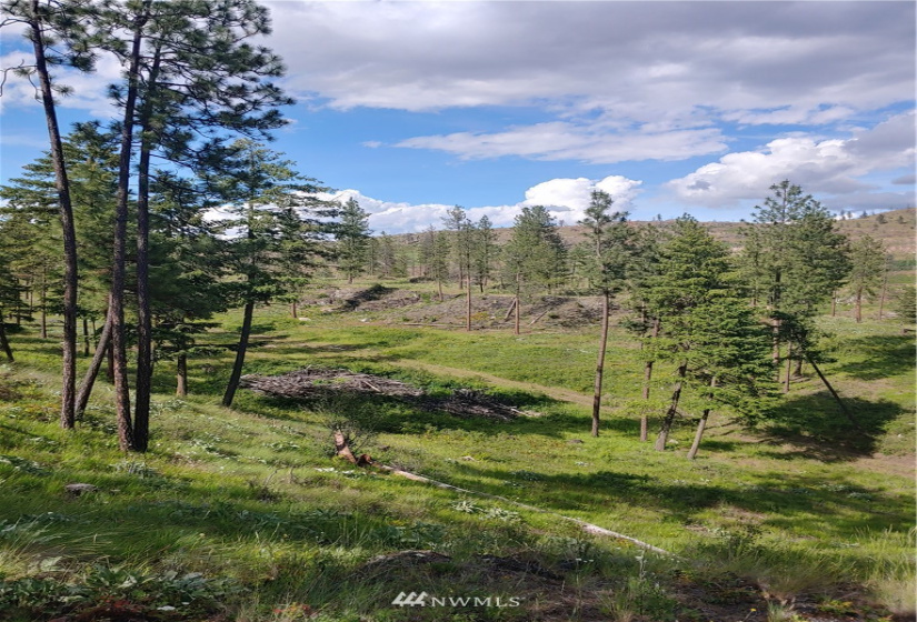3 LOT Marble Valley Basin, Addy, Washington 99101, ,Land,For Sale,Marble Valley Basin,NWM1878575