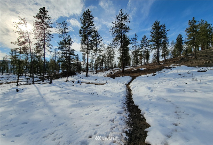 3 LOT Marble Valley Basin, Addy, Washington 99101, ,Land,For Sale,Marble Valley Basin,NWM1878575